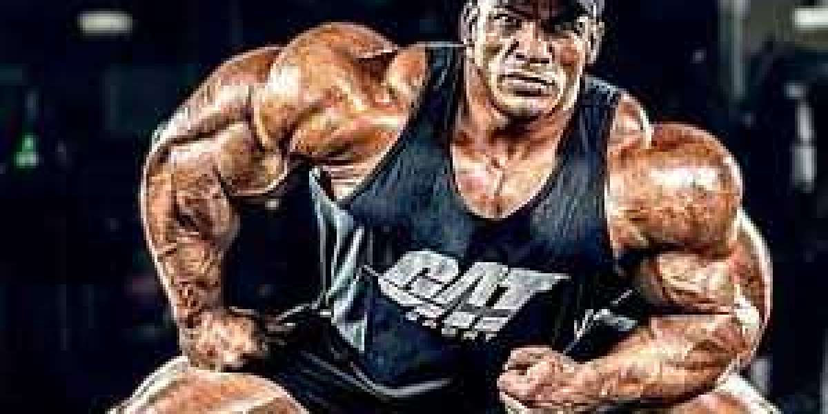 Navigating the World of Steroids: A Guide to Choosing the Right Shop