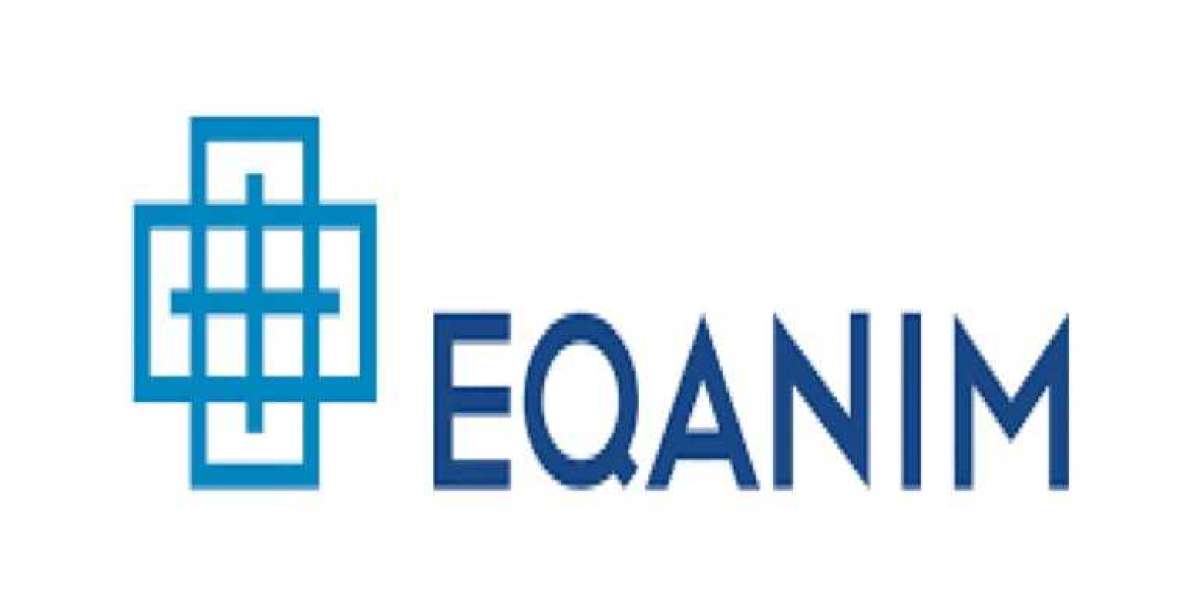Elevate Your Software Quality Assurance with EQAnim: Leading Software Testing Services in India