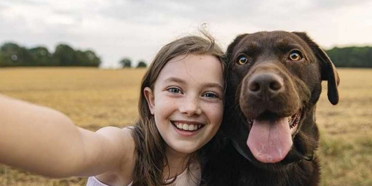 The Importance of Pets: More Than Just Companions