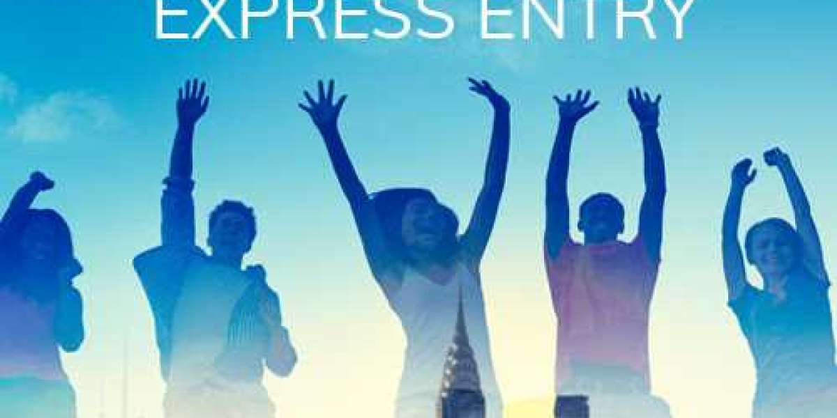 Mastering the Process: How to Create an Express Entry Profile