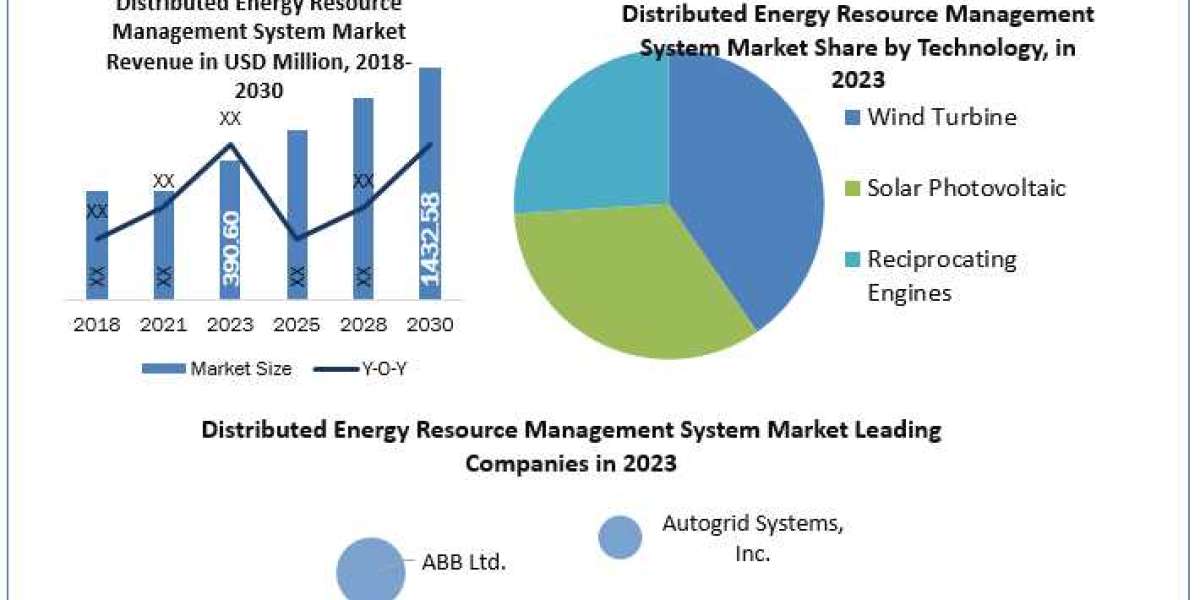 Distributed Energy Resource Management System Market Size, Growth Trends and Forecast 2030