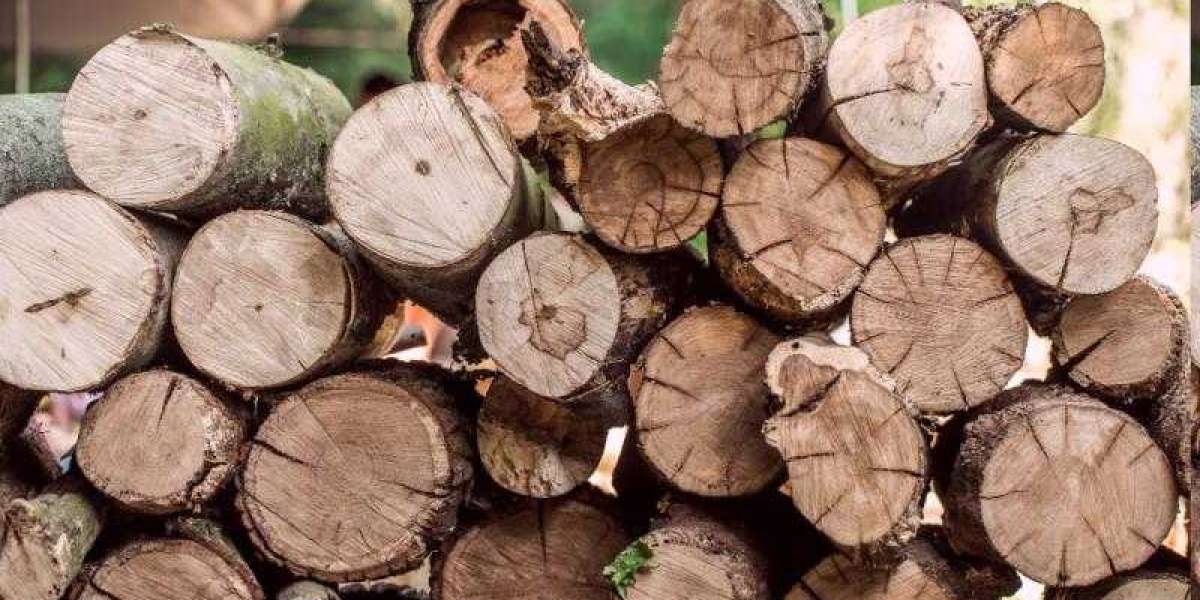 Forest Product Market Impact Environmental Sustainability, Eco-friendly Products & Growing Consumer Demand