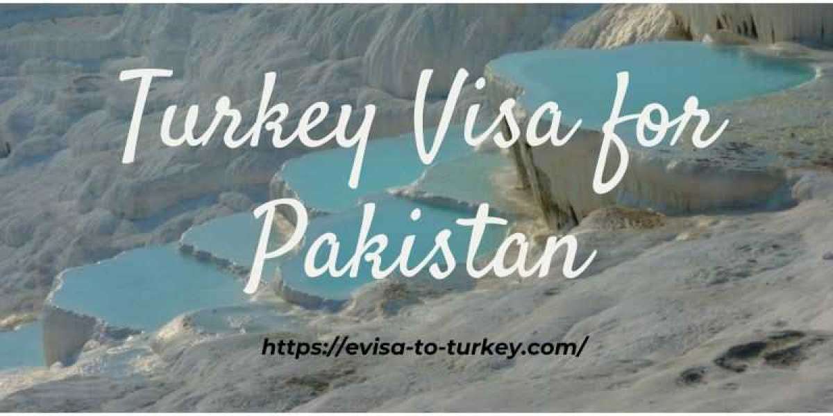 Simplifying Turkey E-Visa Process for Pakistani Travellers:A Comprehensive Guide