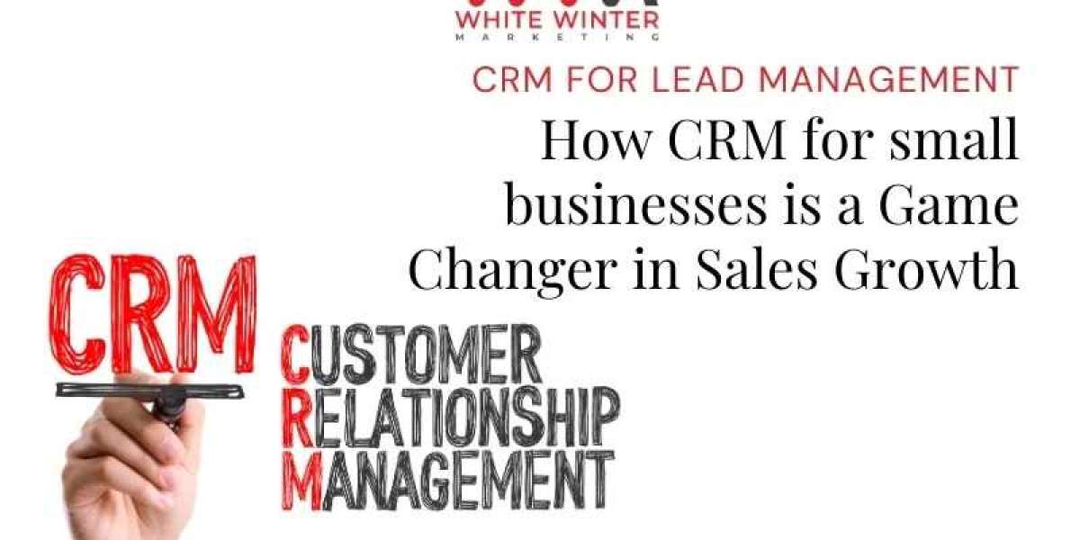 Mastering the Art of Lead Management: Harnessing CRM Solutions for Small Business Success