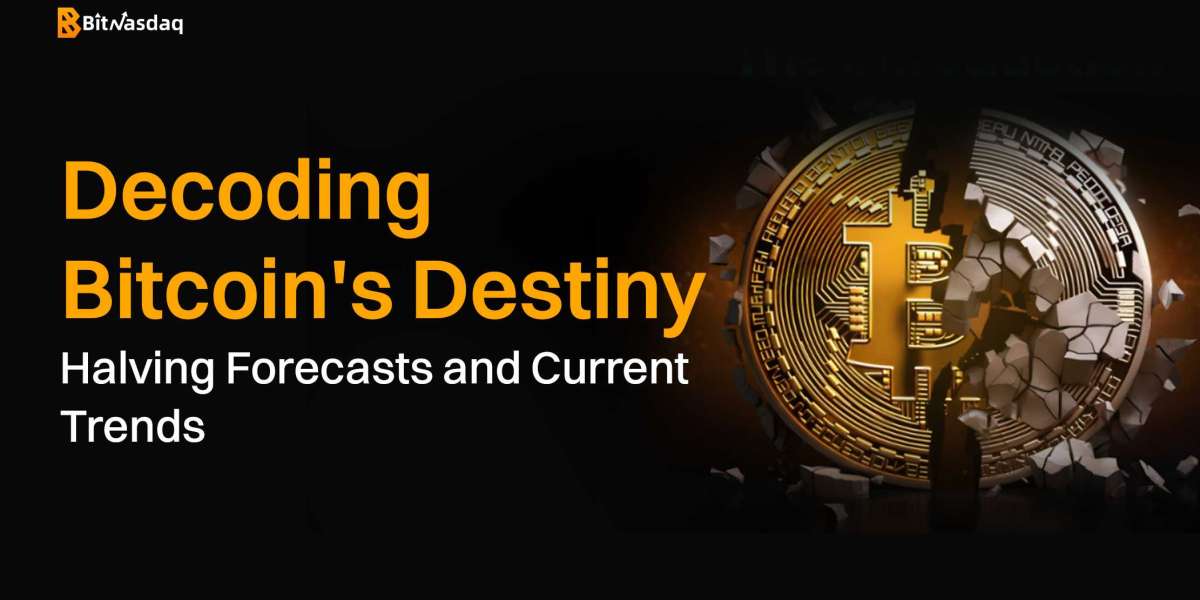 Decoding Bitcoin Halving: Trends, Predictions, and Expert Forecasts