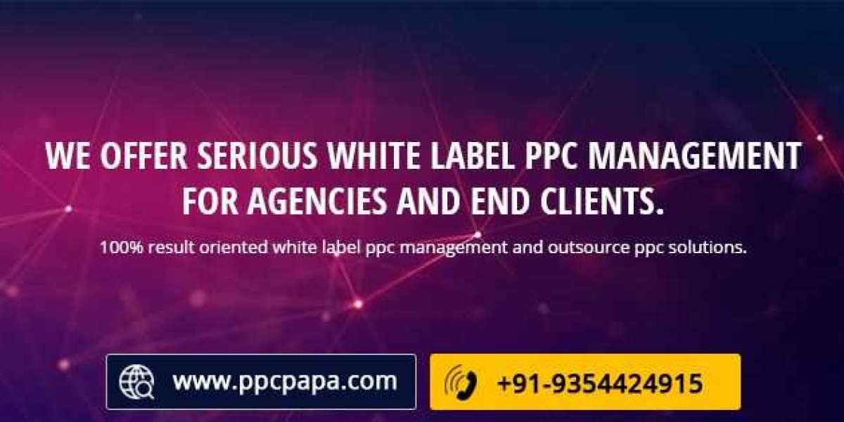 PPC PAPA | PPC Management Agency