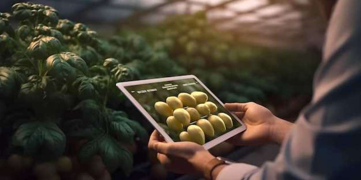 Smart Agriculture Market Analysis: Unveiling Size, Share, and Unforeseen Growth Trends (2023-2030)