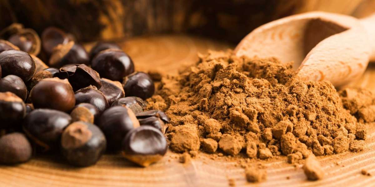 Guarana Powder Market is Expected to Gain Popularity Across the Globe by 2033