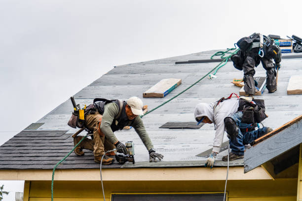 What to Expect in Professional Roof Installation - Emperiortech