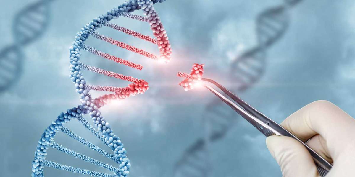 Gene Therapy Market Size, Share, Growth Report, 2024-2032