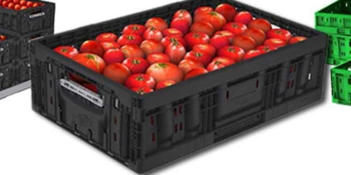 Reusable Plastic Containers RPCs Market is Expected to Gain Popularity Across the Globe by 2033