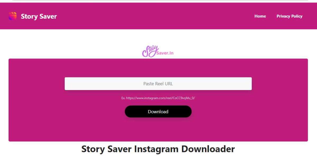story saver instagram video downloader