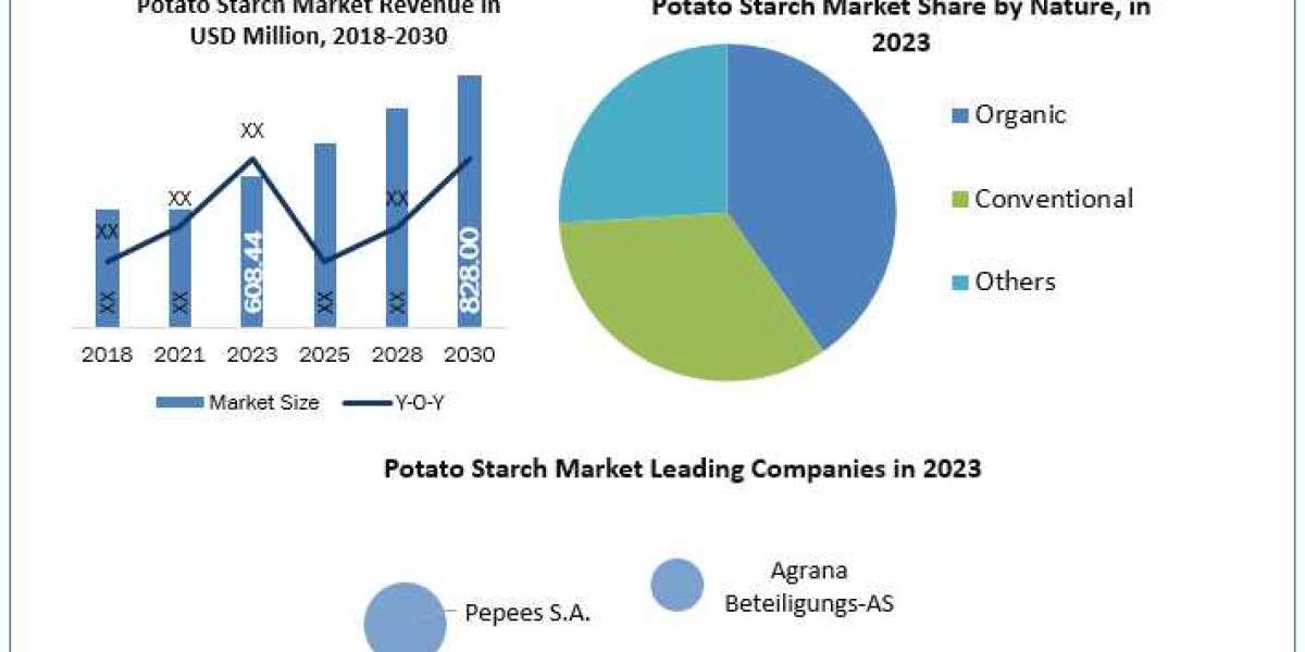 Potato Starch Market Historical Analysis, Segmentation and Growth Opportunities Forecasts to 2030
