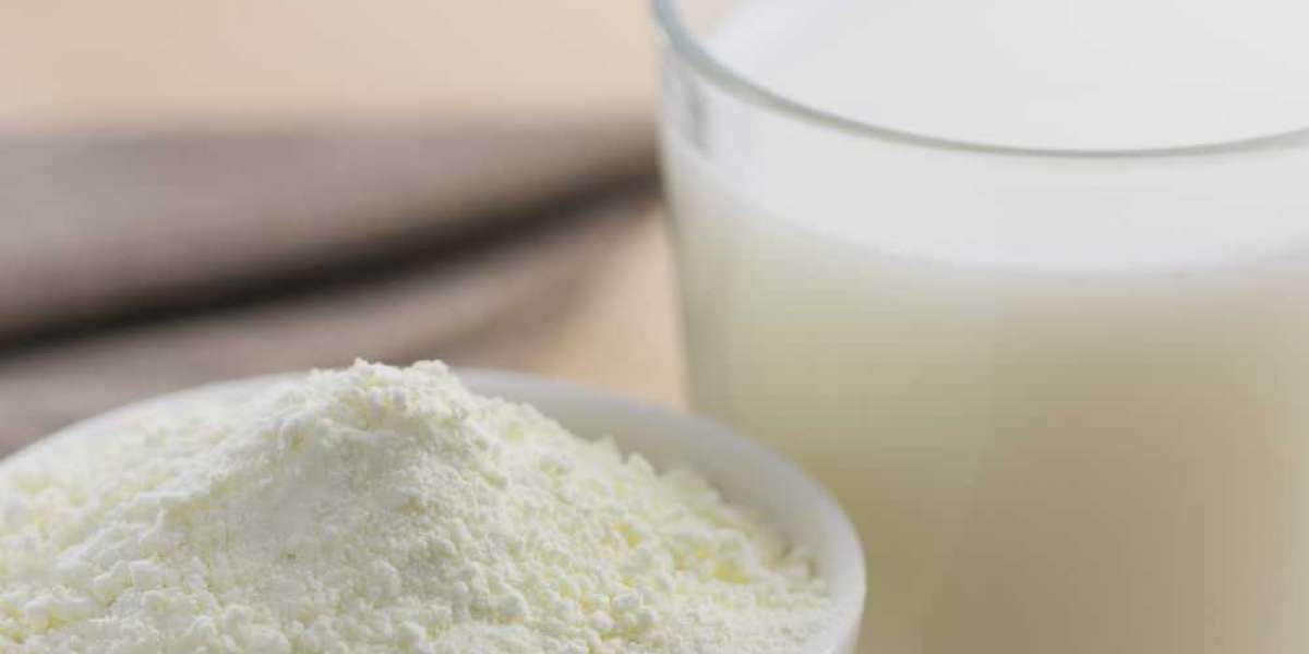 Organic Skim Milk Powder Market to Experience Significant Growth by 2033