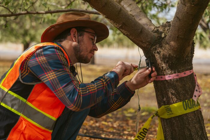 How Artificial Intelligence Could Revolutionize Tree Surgery? – Africa Lit Lab