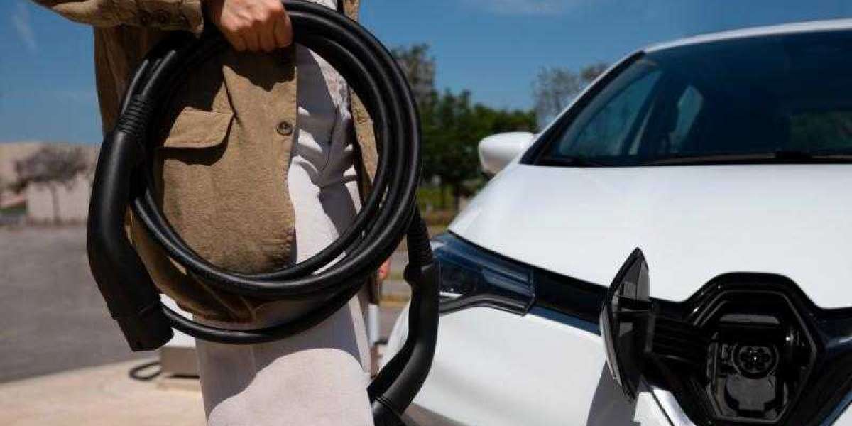 Electric Car Onboard Charger Market Drivers Environmental Awareness and Consumer Demand