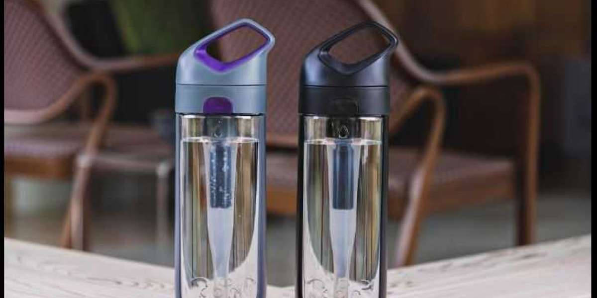 Water Purifier Bottle Market Growth, Trends, Scope, Competitor Analysis and Forecast 2029
