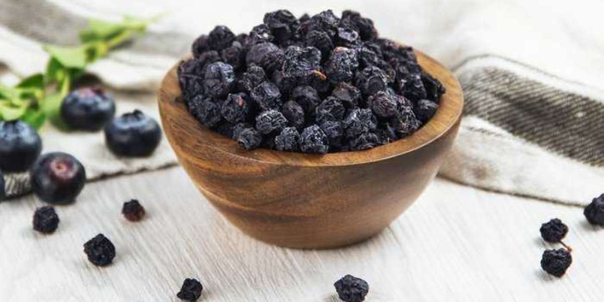 Challenges and Opportunities in Dried Blueberries Market Expansion