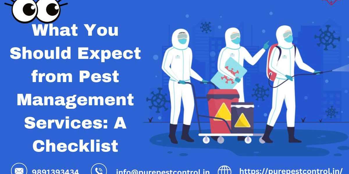 What You Should Expect from Pest Management Services: A Checklist