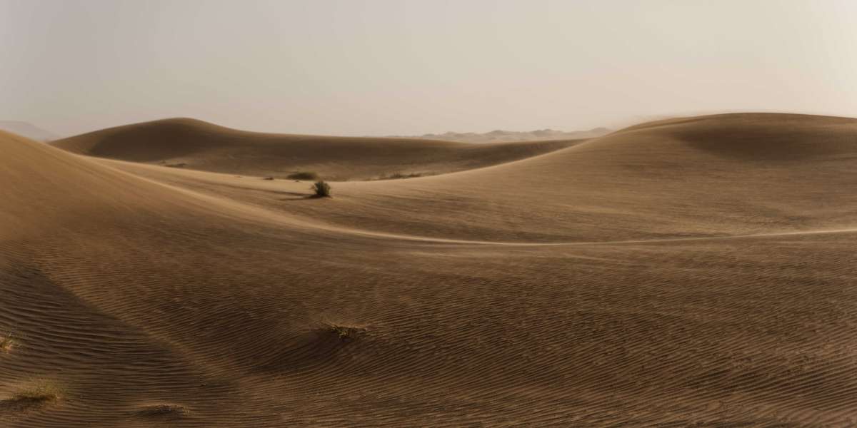 Unveiling the Mysteries: Adventure Desert Tourism Explored