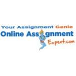 Online Assignment Expert