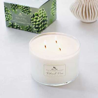 Roland Pine Three-Wick Candle Profile Picture