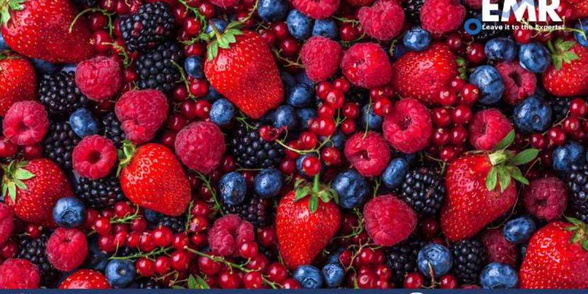 Experience the Harvest: Your Journey to Fresh Berries Market
