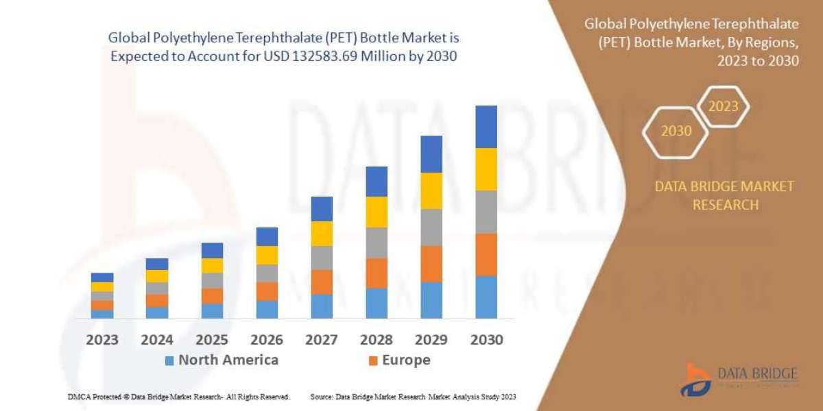 Pet Bottle  Market Size, Share, Trends, Growth Opportunities and Competitive Outlook