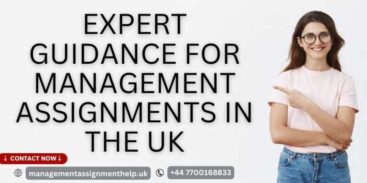 Expert Guidance for Management Assignments in the UK