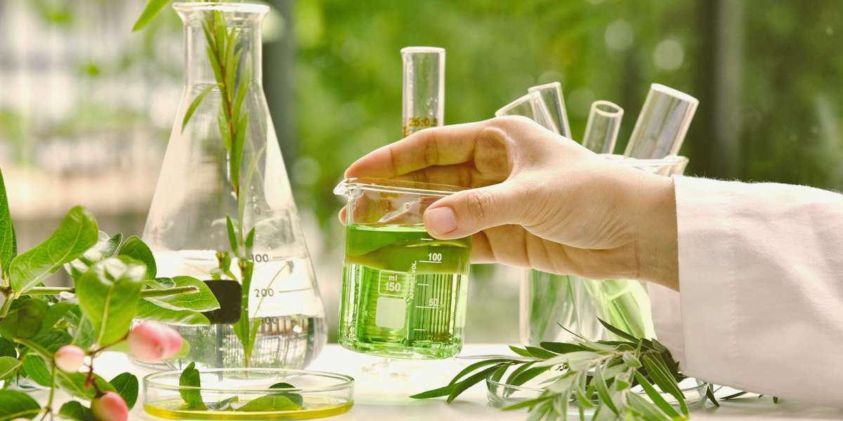 Organic Chemicals Market Growth Forecast and Future Outlook (2024-2028)