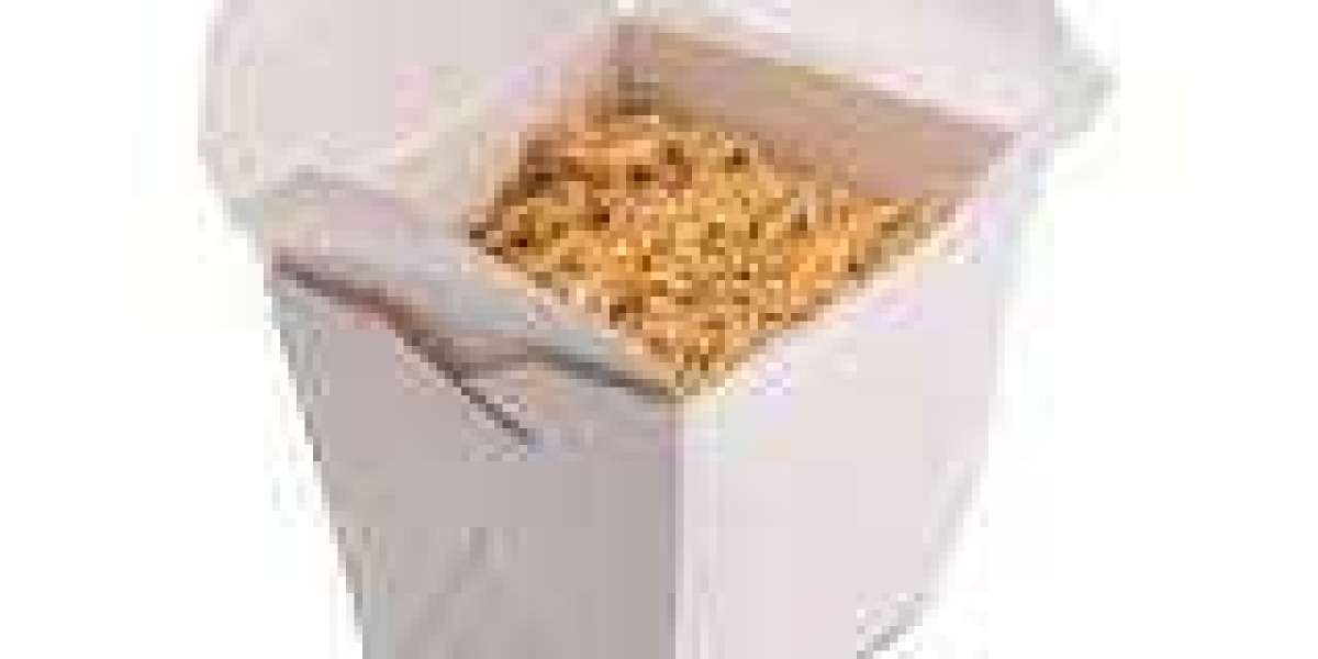Get Best Custom Noodle Boxes Wholesale: Enhancing Your Brand Presence
