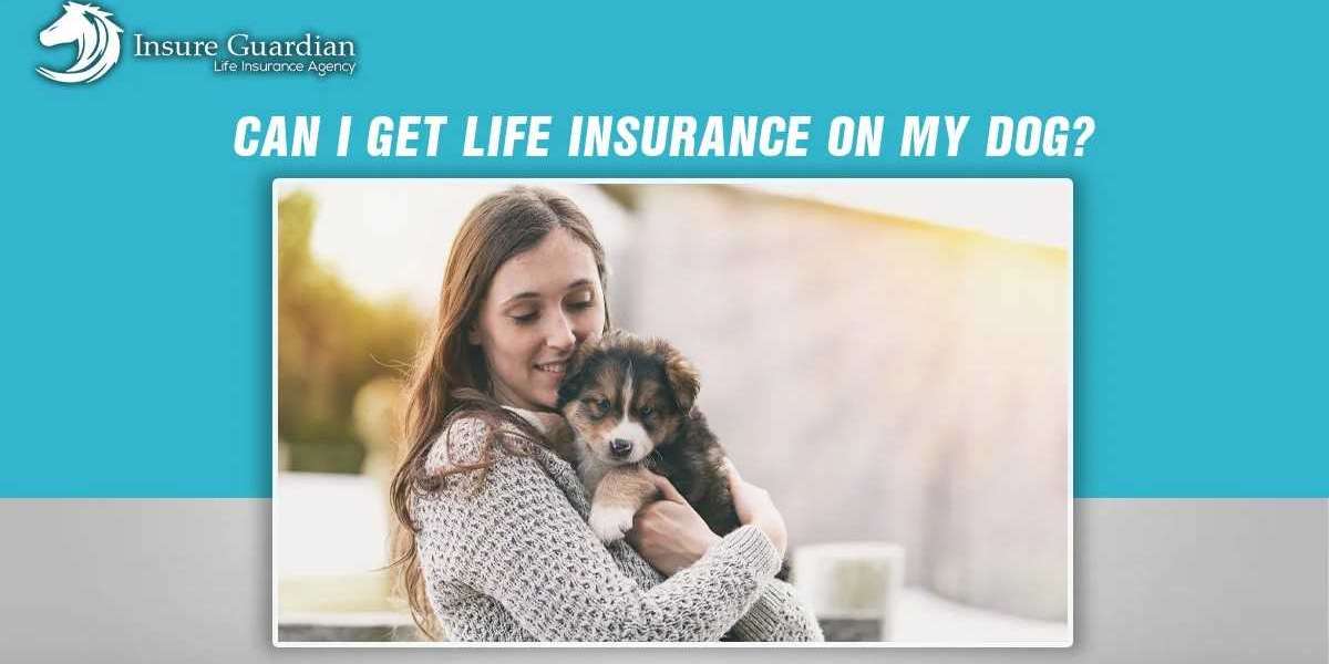 Can I Get Life Insurance on My Dog? Understanding Pet Life Insurance