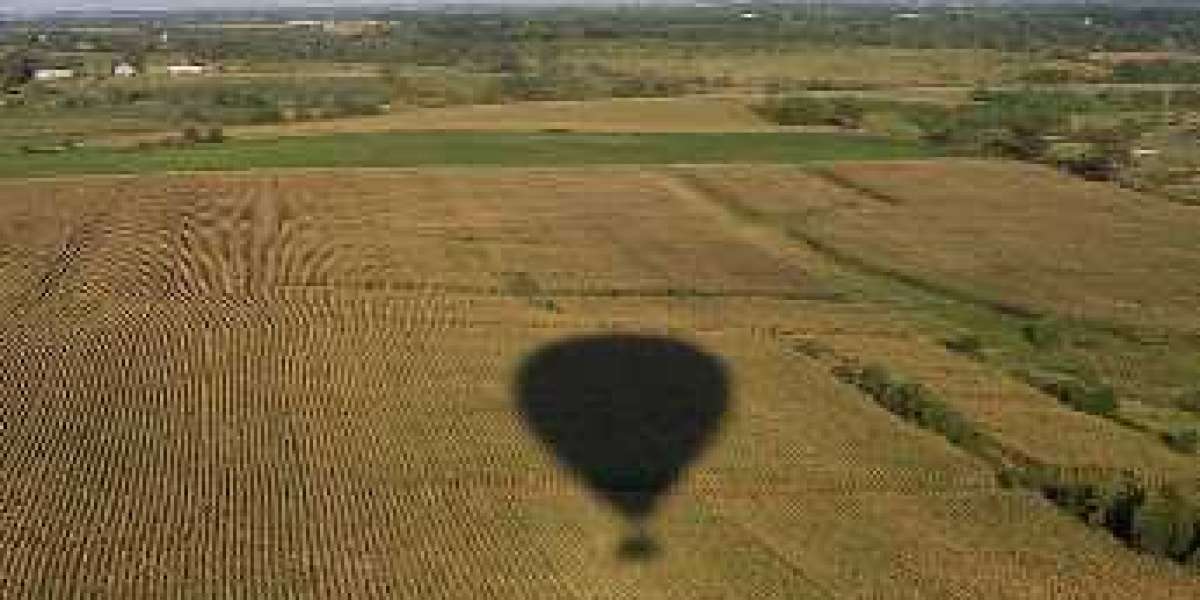 Soaring Heights: A Beginner's Guide to Learning How to Fly a Hot Air Balloon