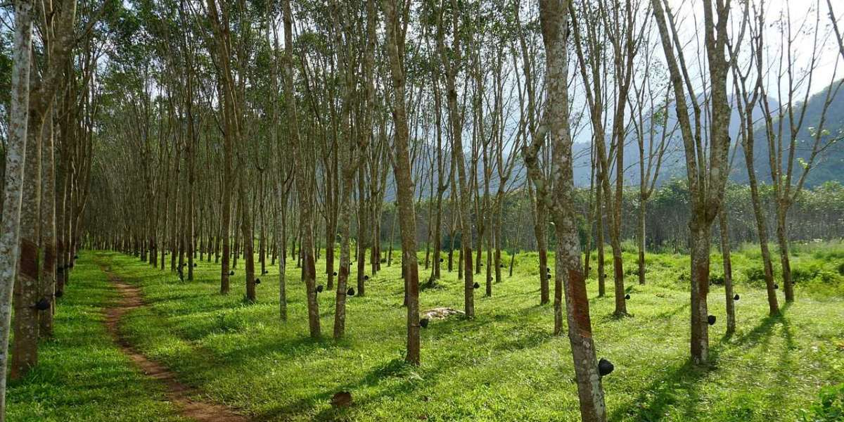 Sustainability Practices in Rubber Plantations: A Case Study from Sri Lanka