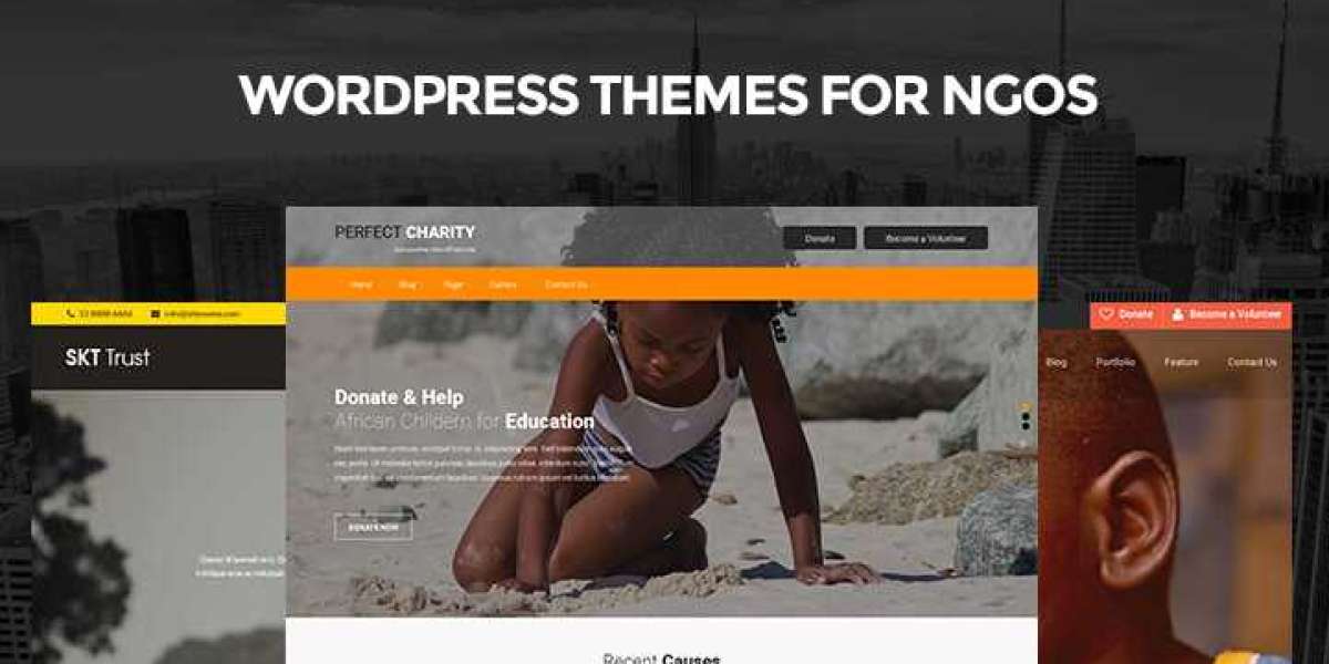 Elevate Your Cause: 3 Best NGO WordPress Themes