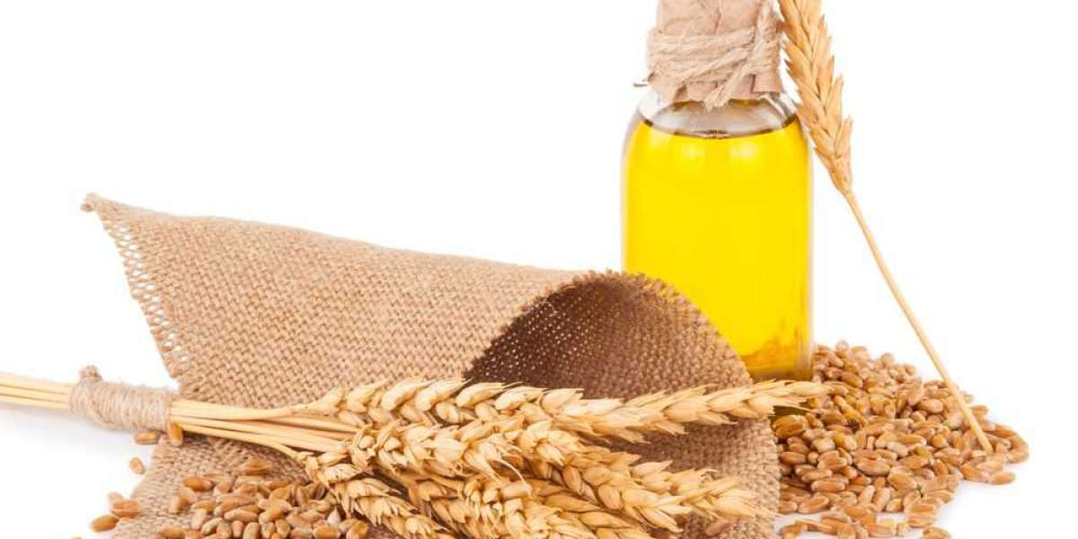 Sustainability in Focus: Wheat Germ Oil Market Trends