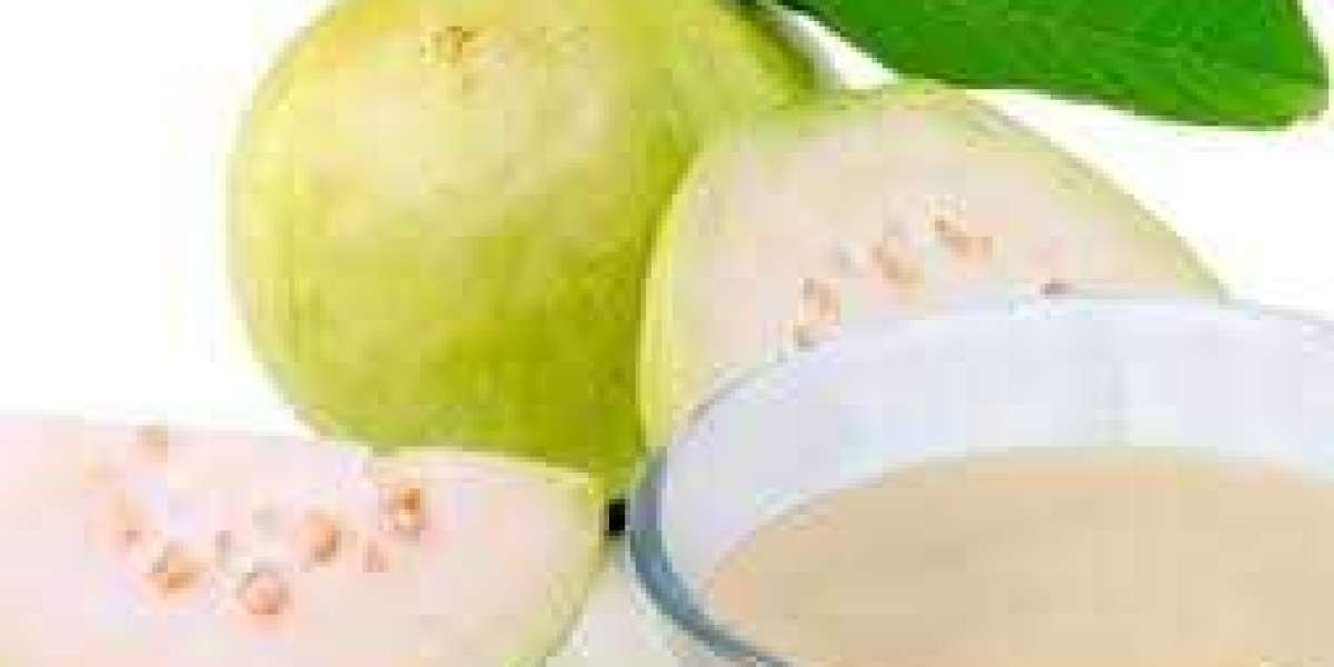 Guava Pulp and Concentrate Market Future Landscape To Witness Significant Growth by 2033