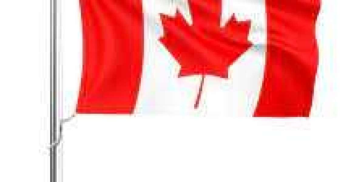 Certified Canadian Immigration Consultant In Dubai