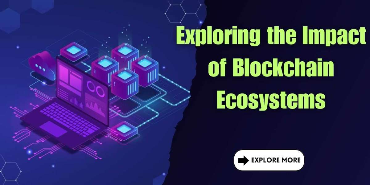 Exploring the Impact of Blockchain Ecosystems