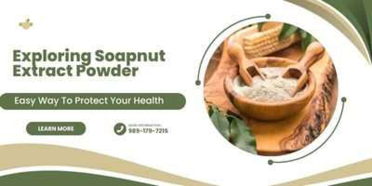 Exploring Soapnut Extract Powder