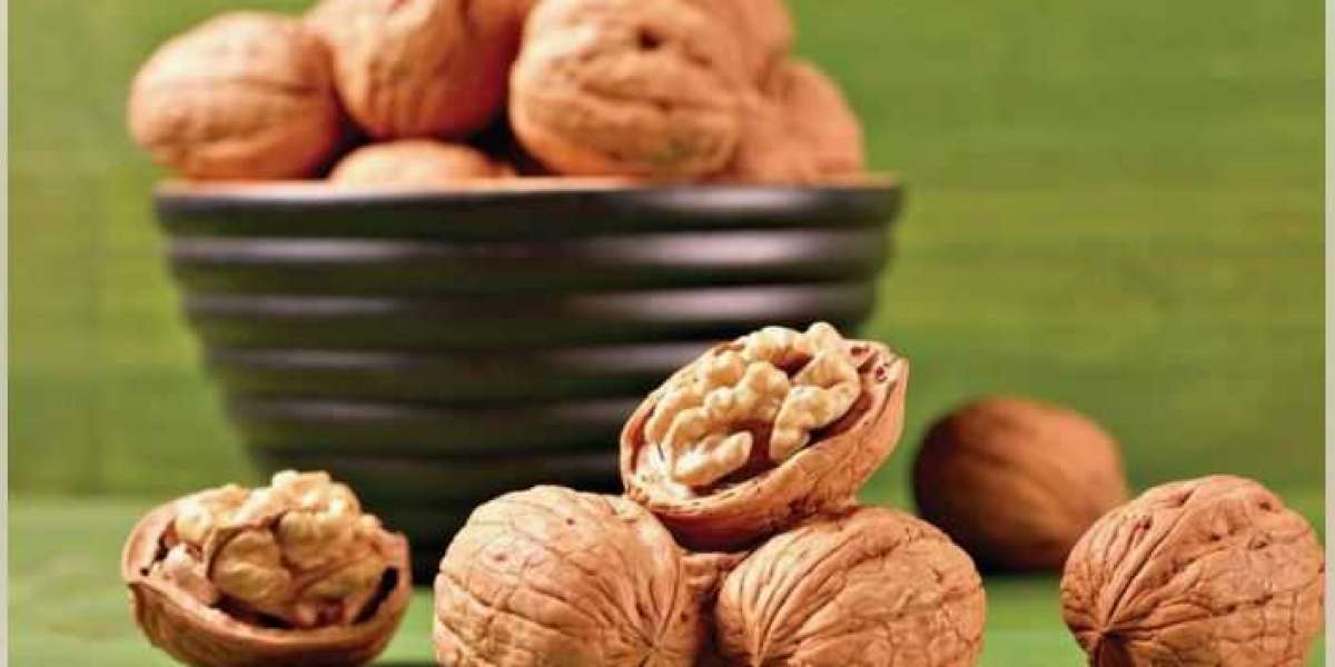 Walnut Market Trends: Insights into Growth and Opportunities