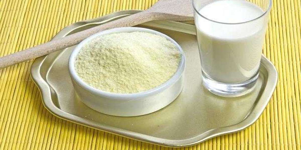 Industrial Milk Powder Market Size, Trends, Scope and Growth Analysis to 2033