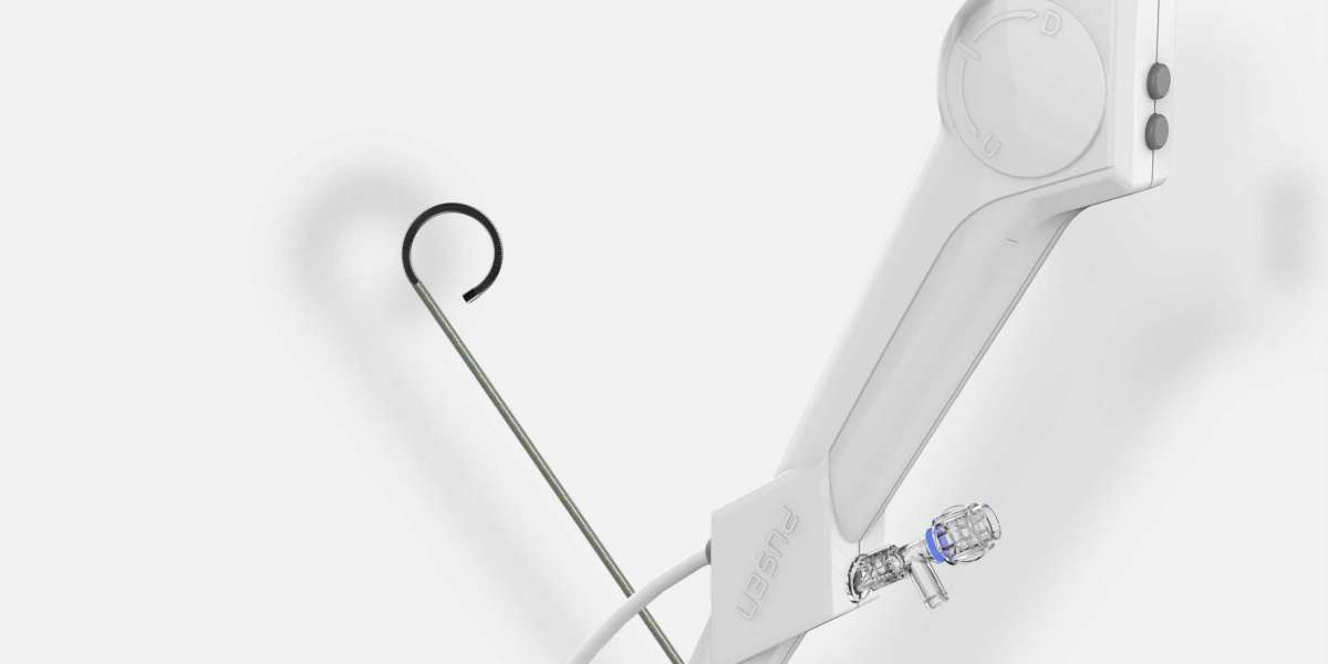Disposable Ureteroscopes Market size is expected to grow USD 8,778.8 million by 2033