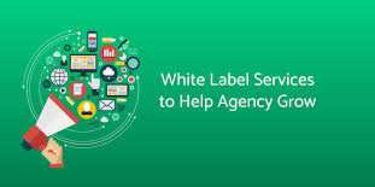 Behind the Scenes: How White Label Blogger Outreach Can Skyrocket Your Brand's Authority