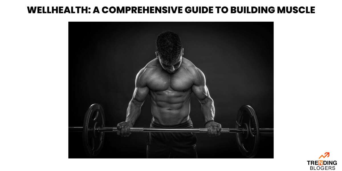 Wellhealth: A Comprehensive Guide to Building Muscle