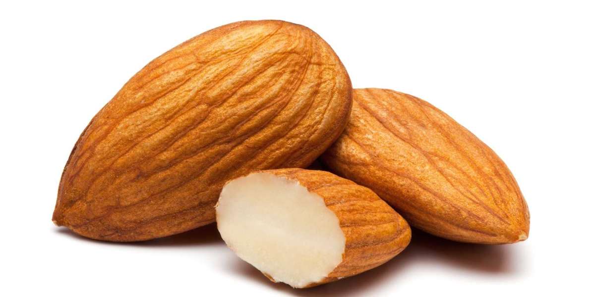 Almond Manufacturing Plant Report, Project Cost, Machinery Requirement and Investment Opportunities