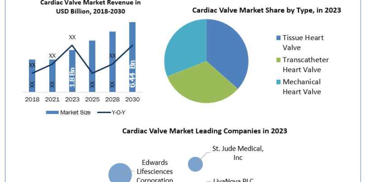 Cardiac Valve Market Size, Growth Trends, Revenue, Future Plans and Forecast 2030
