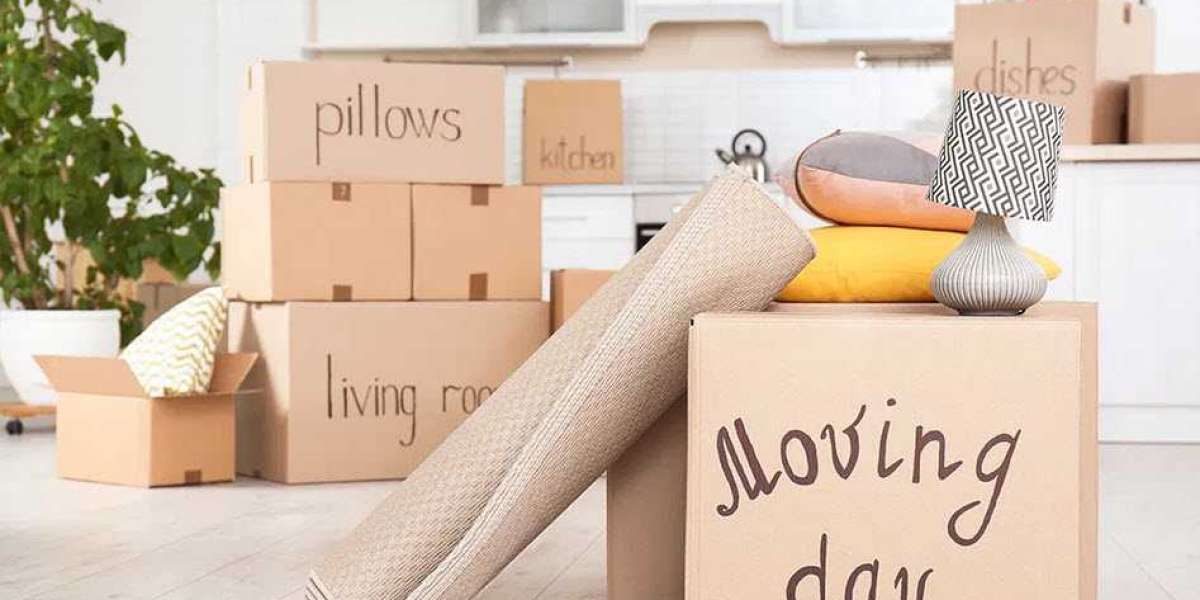 Simplify Your Move with an Experienced Removalist in Sydney
