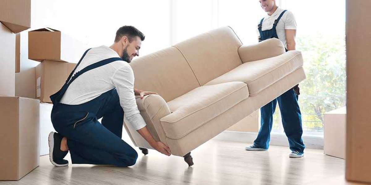 From Chaos to Comfort: Sydney Home Removal Specialists Making Moving a Breeze