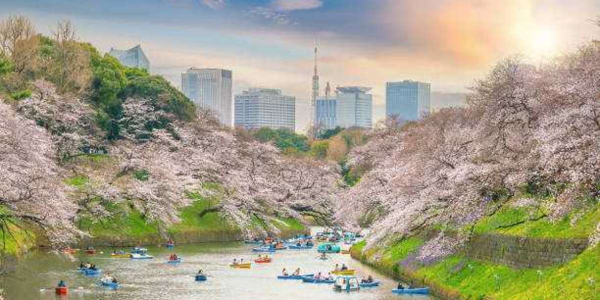 Discover Tokyo's Hidden Gems with Private Tours